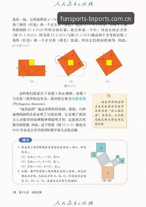 B体育官方版手机版深度分析：2025新版全面解析与新手操作指南